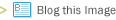 Blog this Image