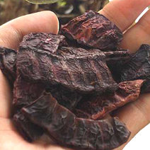 Shikakai (Acacia Concinna) - Image